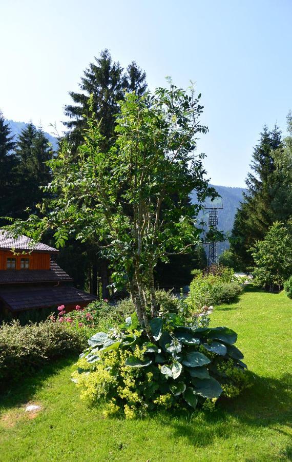 Die Kalsbergerin Ferienwohnung Fuer Geniesser Доннерсбахвальд Экстерьер фото